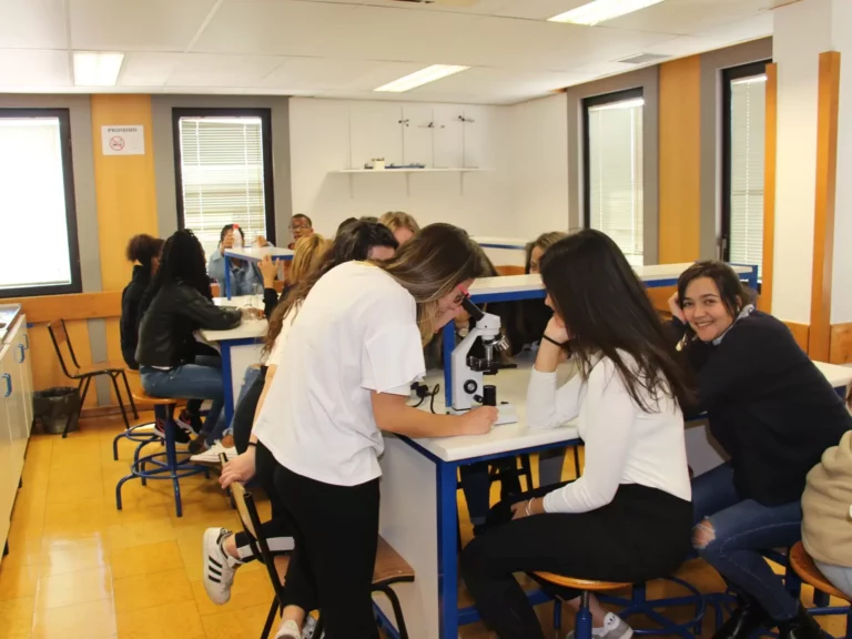 Ensino e formação 2 escola profissional da cruz vermelha