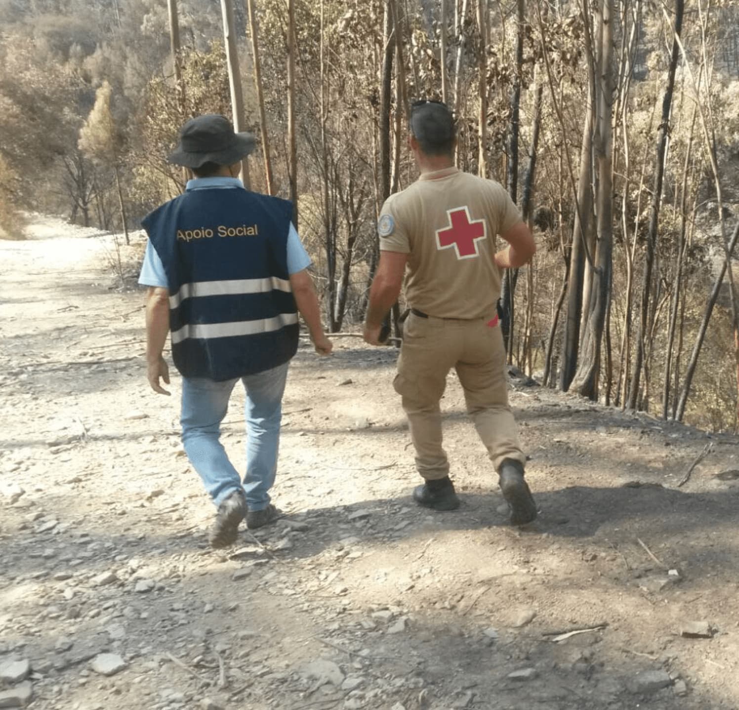 Incendio Pedrogao Grande 2017